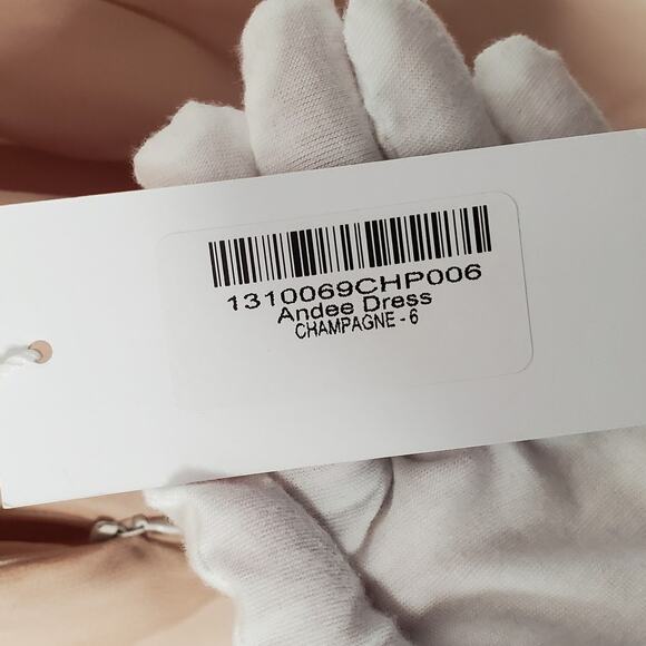 Reformation Andee Halter Open Back Maxi Dress Champagne Blush Cream Size 6 New - Picture 13 of 13